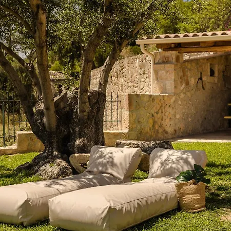 Ipoliti Luxury Living